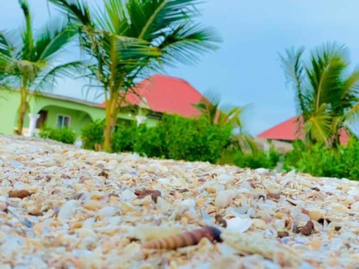 Bosofet Beach And Creek Lodge Sanyang エクステリア 写真